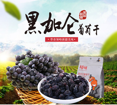 【百草味官方旗艦店】【百草味-黑加侖葡萄干200g】新疆吐魯番 無核無籽零食提子干 -蘇寧易購