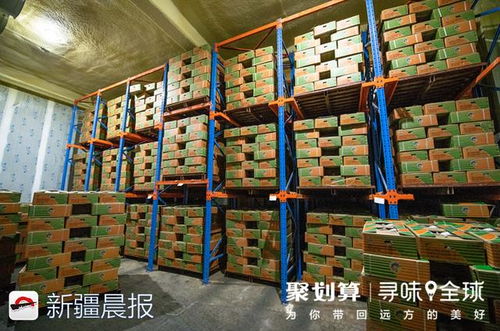 尋味吐魯番最優質瓜果 借天貓聚劃算打造地域名片