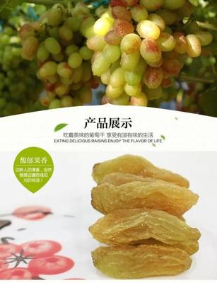 [葡萄干批發]新疆吐魯番鄯善縣葡萄干 9.80元/斤新疆哈密大顆 _ 一畝田