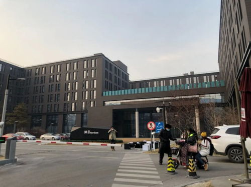 疫情下的后廠村 網易做核酸,我在寫代碼