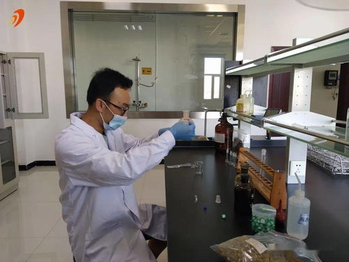 吐魯番葡萄干獲歐盟市場認可