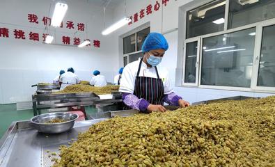 時政微觀察丨“各族群眾、家家戶戶都是我的牽掛”