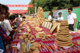 第二十七屆中國絲綢之路吐魯番葡萄節開幕