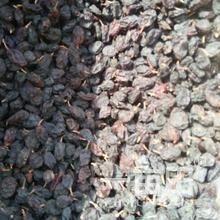 新疆吐魯番吐魯番市努爾艾力的農產品批發/采購